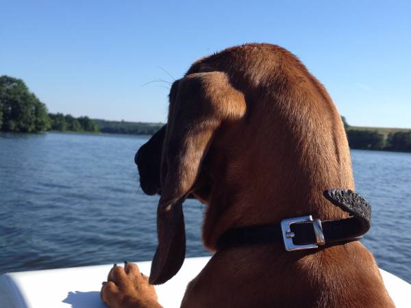 Ośrodek Wypoczynkowy Sielawa