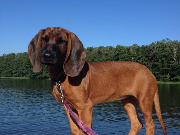 Ośrodek Wypoczynkowy Sielawa