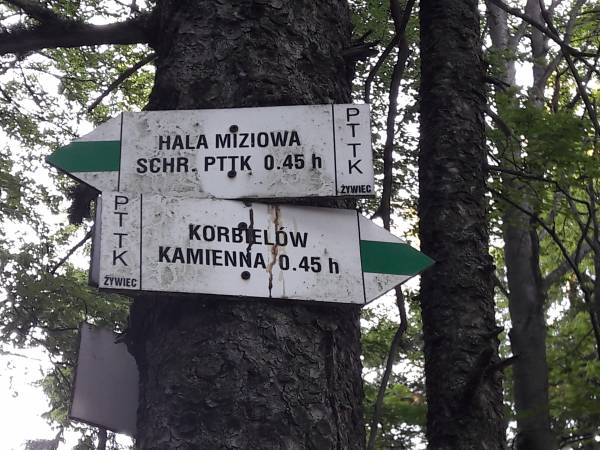 Pokoje na Widokowej 33 - okolica