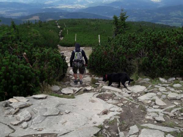 Pokoje na Widokowej 33 - okolica