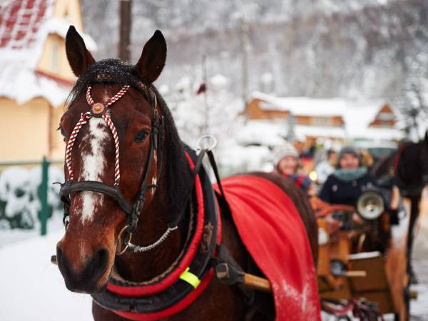 Tatra House Dom Wczasowy