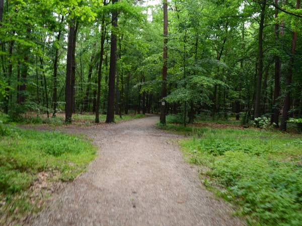 Agroturystyka Złoty Potok 