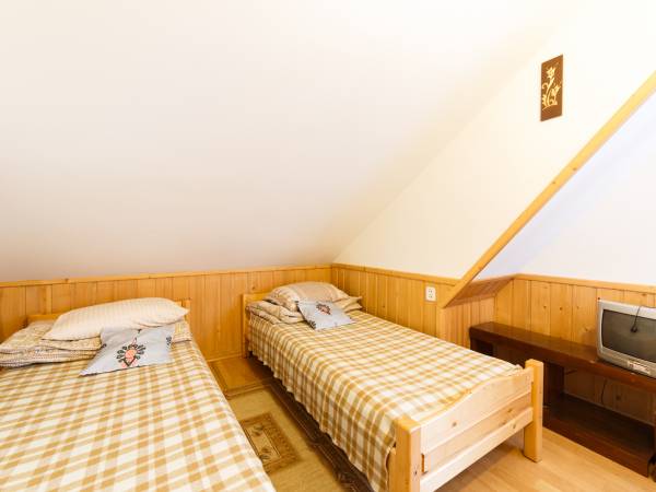 Wynajem pokoi Ludwika 