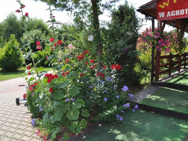 Gospodarstwo Agroturystyczne KAJA, Urszula Janoska