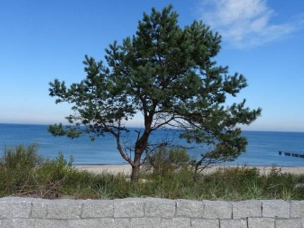 Pokoje gościnne Muszelka