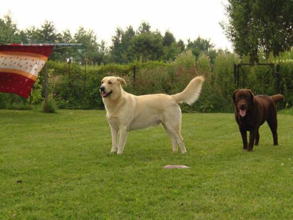 Noclegi Agnieszka Sosnowiec