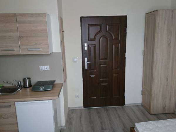 pokój 1-osobowy aneks kuchenny