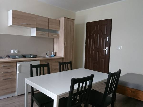 Pokój 3-osobowy aneks kuchenny