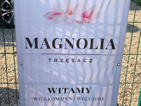 Domki letniskowe MAGNOLIA