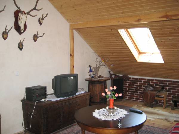 Pokoje gościnne pod 13