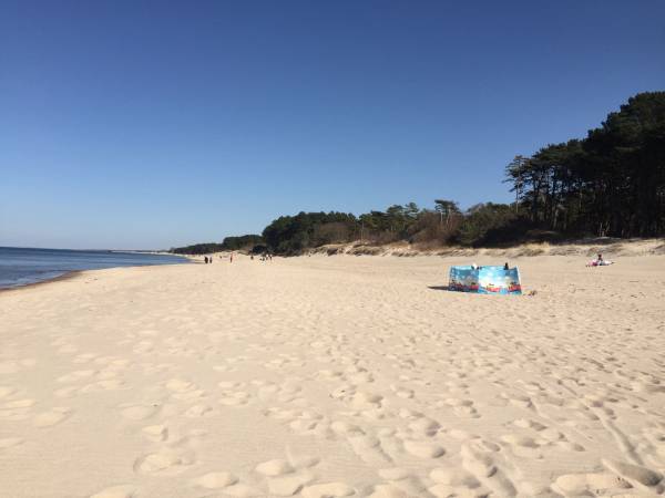 Plaża przed sezonem - Baltico