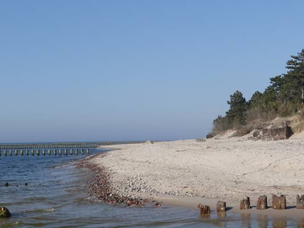 Domki letniskowe Wikar 