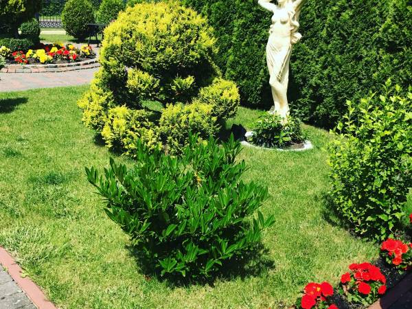 Domy Wczasowe Pałacyk