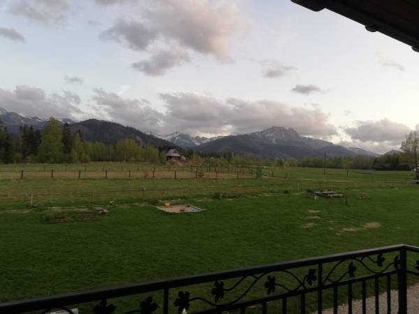 Pod Borami  - okolica