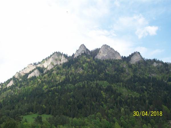 Pokoje Gościnne Palenica - okolica