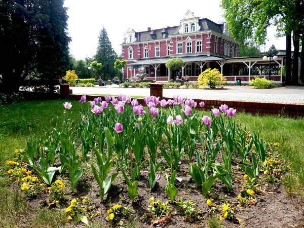 UZDROWISKO GOCZAŁKOWICE-ZDRÓJ