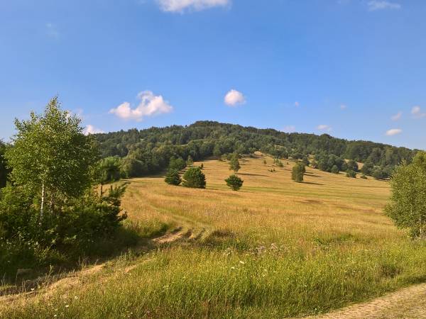 a może by tak, w przeciwną stronę ?