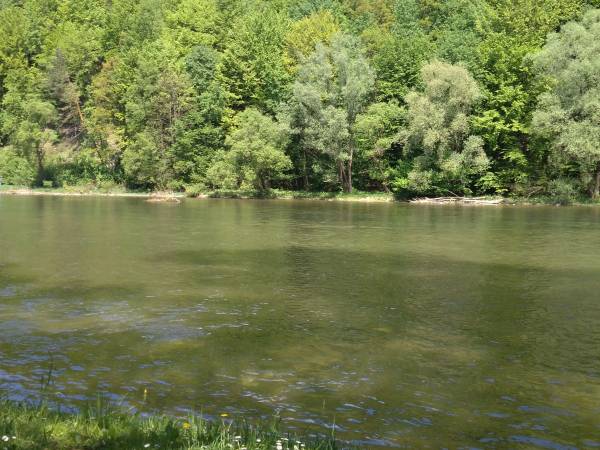 nasze miejsce nad sanem