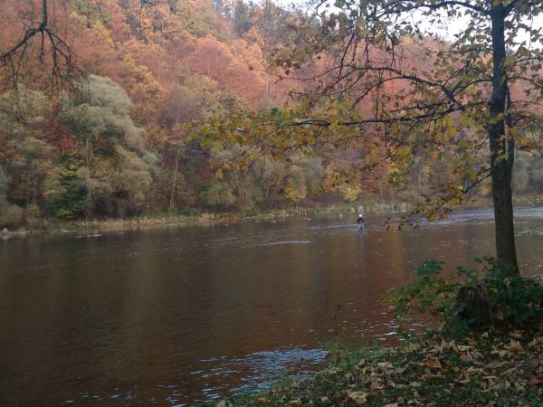 nasze miejsce nad sanem