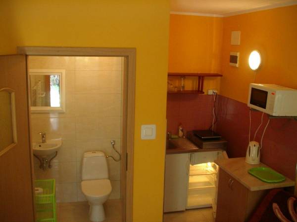 aneks kuchenny- , lodówka, kuchenka elektryczna- indukcyjna, kuchenka mikrofalówka