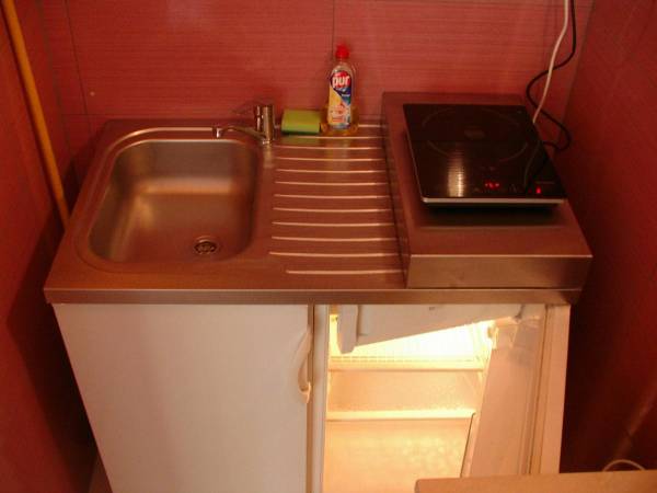 aneks kuchenny- lodówka, kuchenka indukcyjna, zlewozmywak