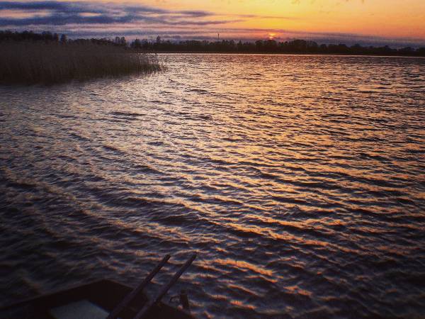 AGROTURYSTYKA PIECE - okolica