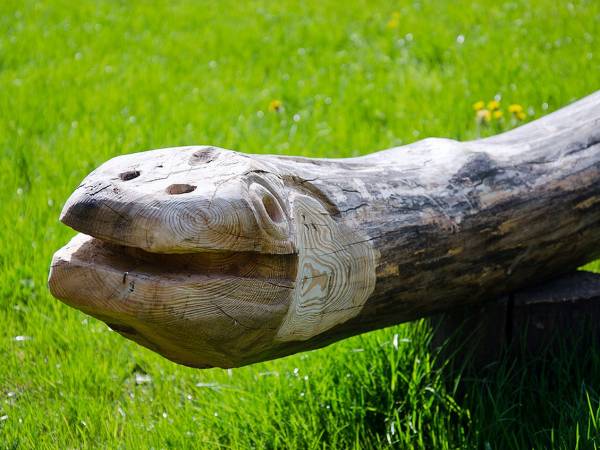 Agroturystyka Pod Lipami