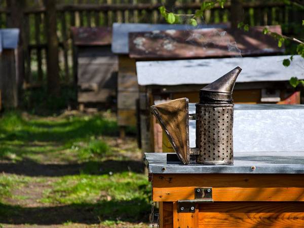 Agroturystyka Pod Lipami