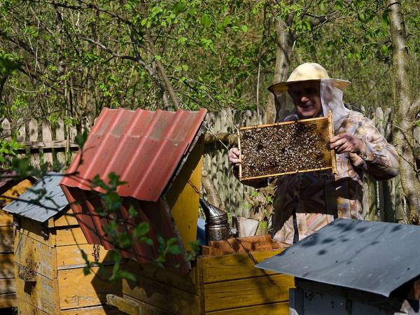 Agroturystyka Pod Lipami