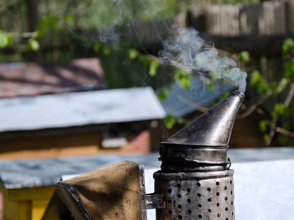 Agroturystyka Pod Lipami