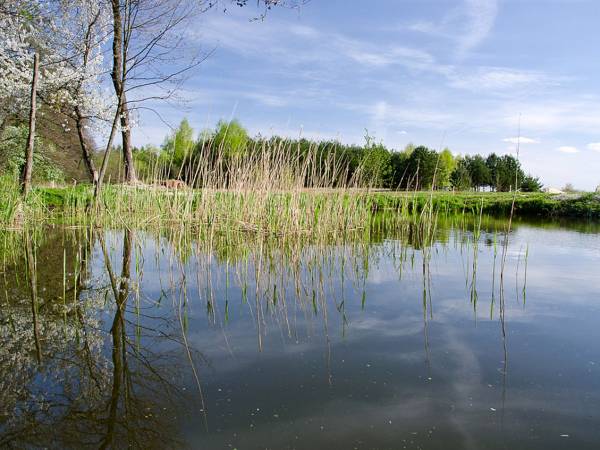 Agroturystyka Pod Lipami