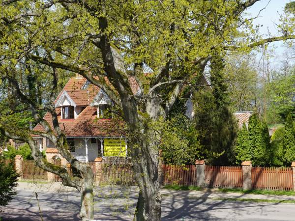 widok z Apartamentu nr 5