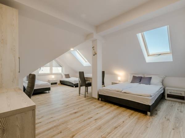 Duży rodzinny pokój 4-osobowy