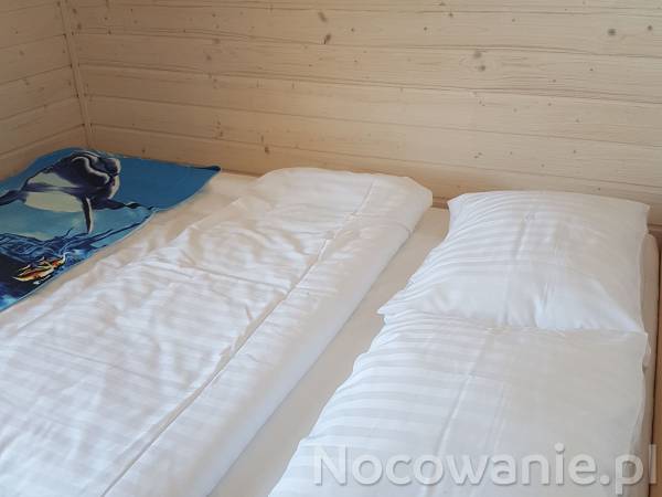 Domki letniskowe ALGA