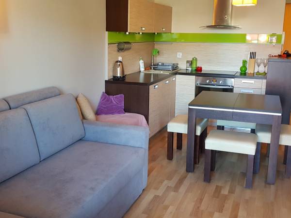 Willa Turkusowa Apartament 17