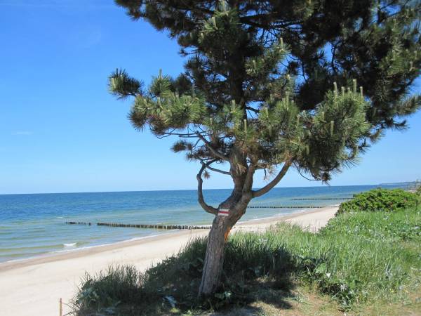 blisko morza bo zaledwie 5 min