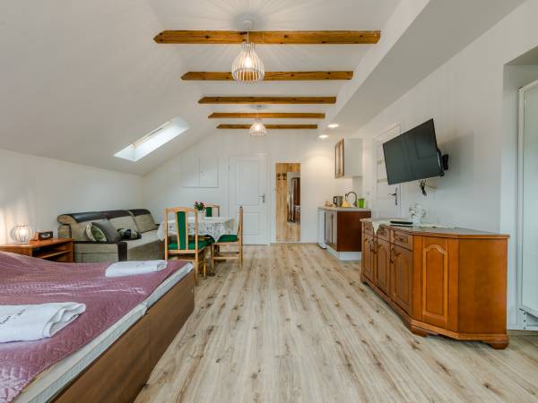 pokój nr 9 z aneksem kuchennym