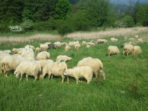 TĘCZOWE WZGÓRZE - okolica