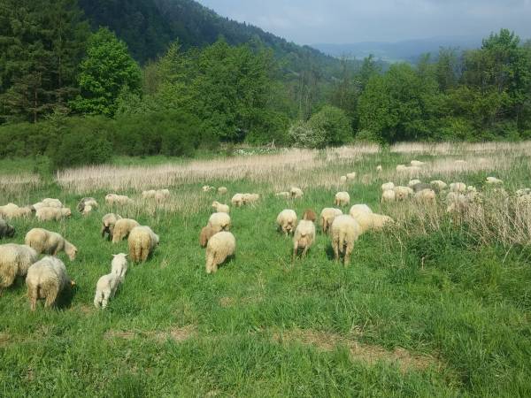 TĘCZOWE WZGÓRZE - okolica