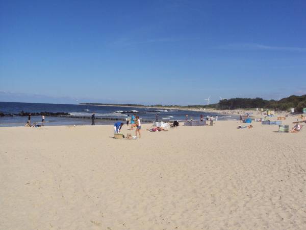 Domki letniskowe Nevada