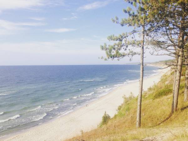 Domki letniskowe Bingo - okolica