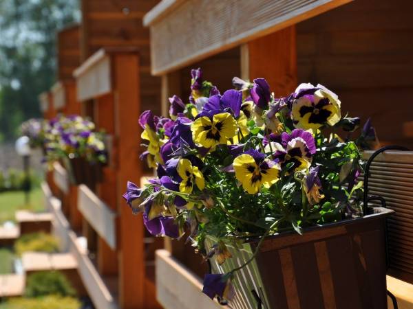 Słoneczny Przystanek