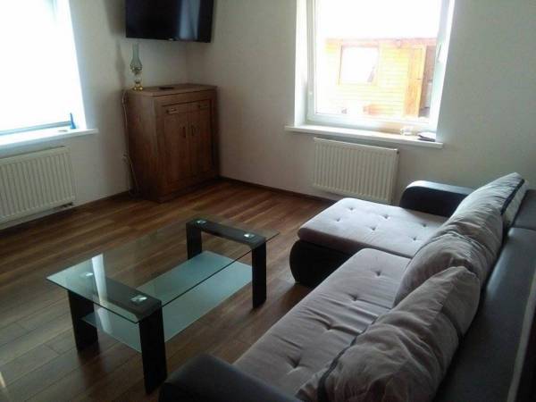 Pokój dzienny z rozkładaną kanapą w apartamencie 6 osobowym.