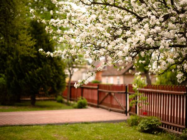 Wejście na posesję