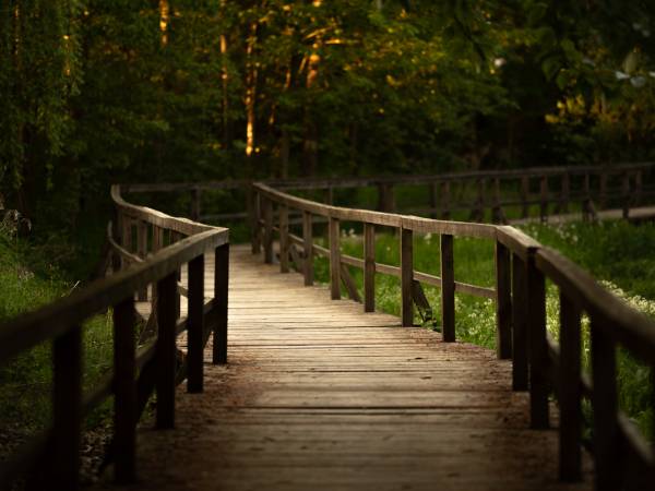 Scieżka rowerowa przy żródełku