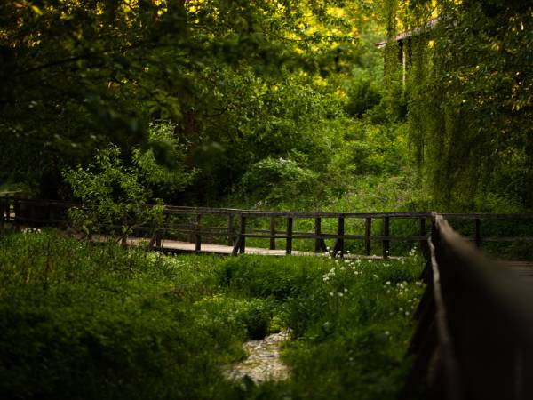 Krajobraz przy żródełku rzeki Nepryszka