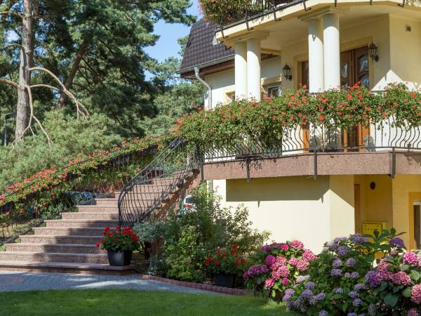 Dom Gościnny Pod Lwem