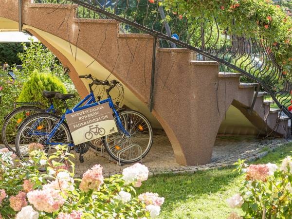 Dom Gościnny Pod Lwem