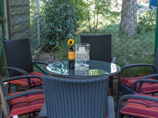 Dom Gościnny Pod Lwem