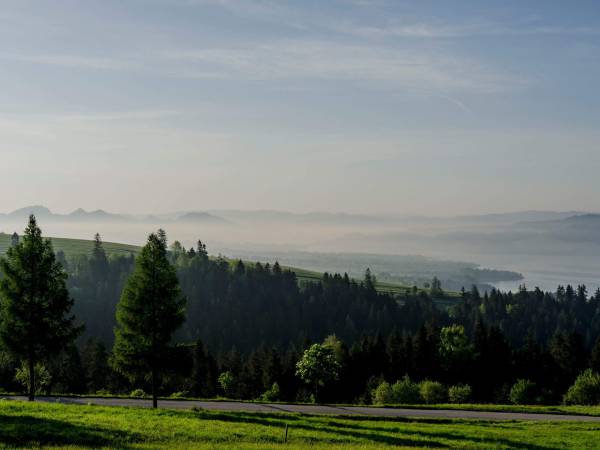 Podhalańskie Domki u Magdusi i Marcina